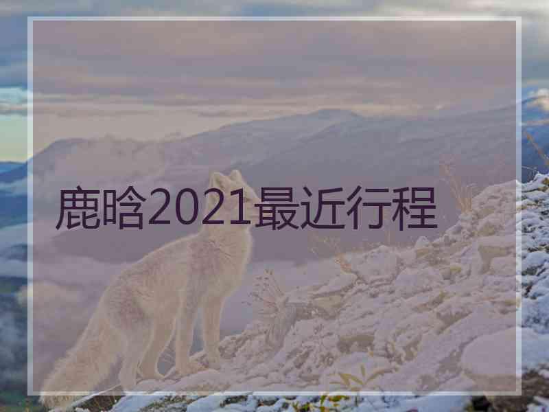 鹿晗2021最近行程