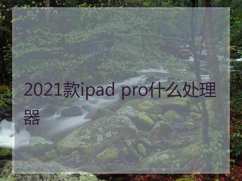 2021款ipad pro什么处理器