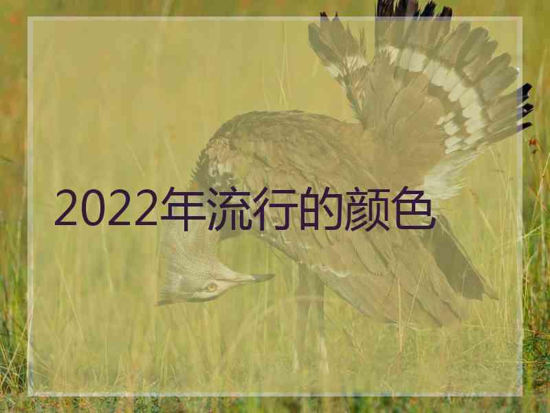 2022年流行的颜色