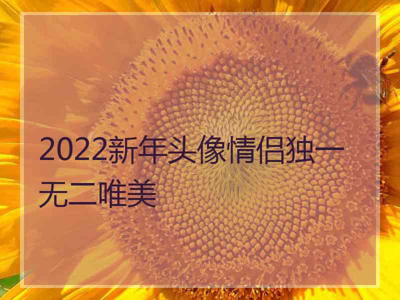 2022新年头像情侣独一无二唯美