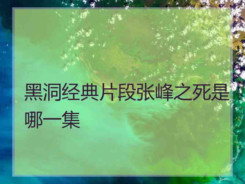 黑洞经典片段张峰之死是哪一集