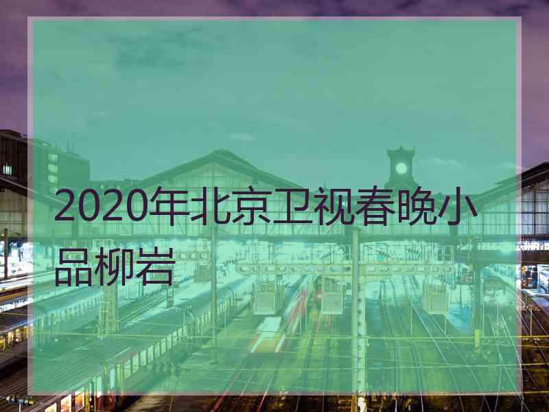 2020年北京卫视春晚小品柳岩