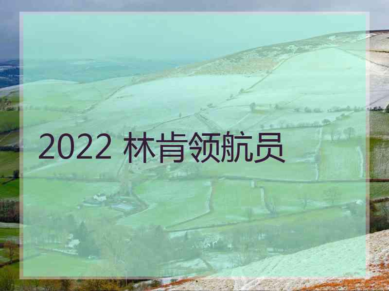 2022 林肯领航员