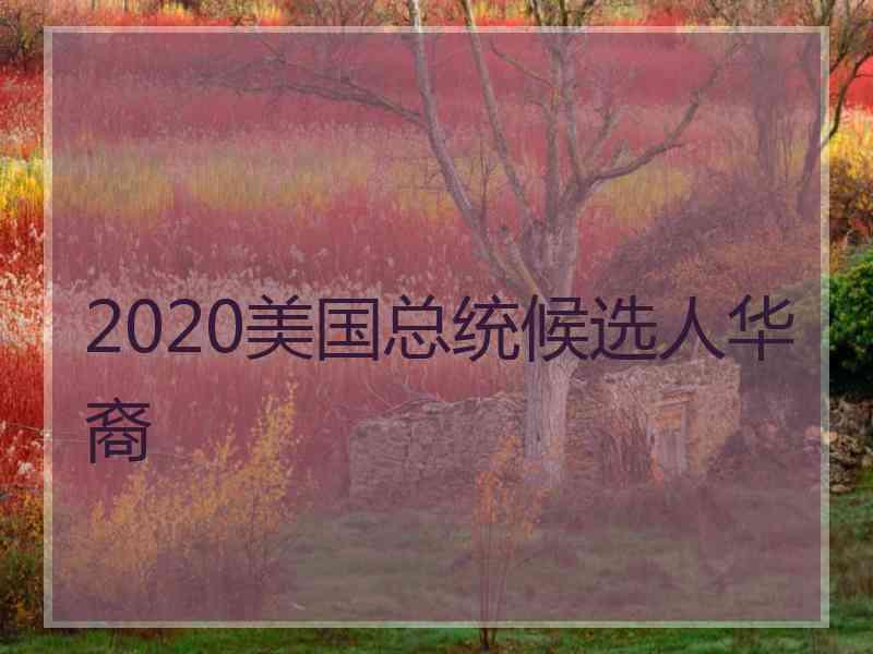 2020美国总统候选人华裔