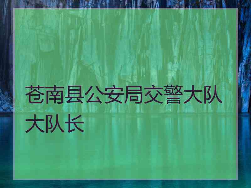 苍南县公安局交警大队大队长