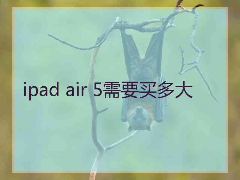 ipad air 5需要买多大