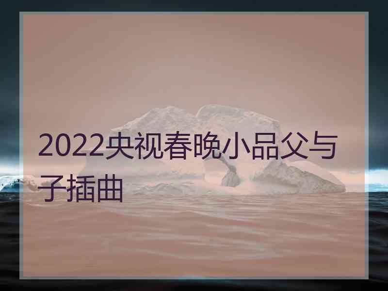 2022央视春晚小品父与子插曲