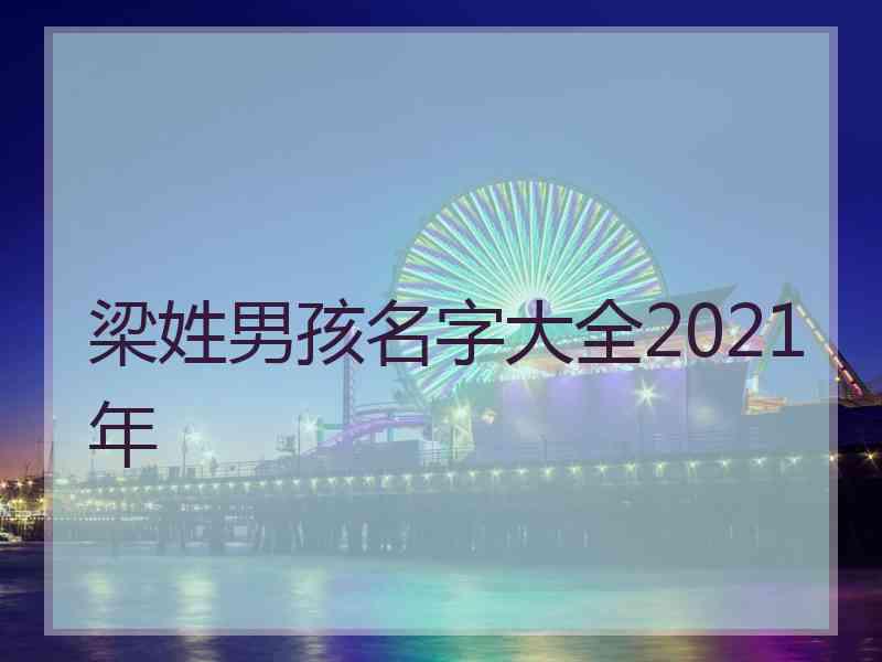 梁姓男孩名字大全2021年