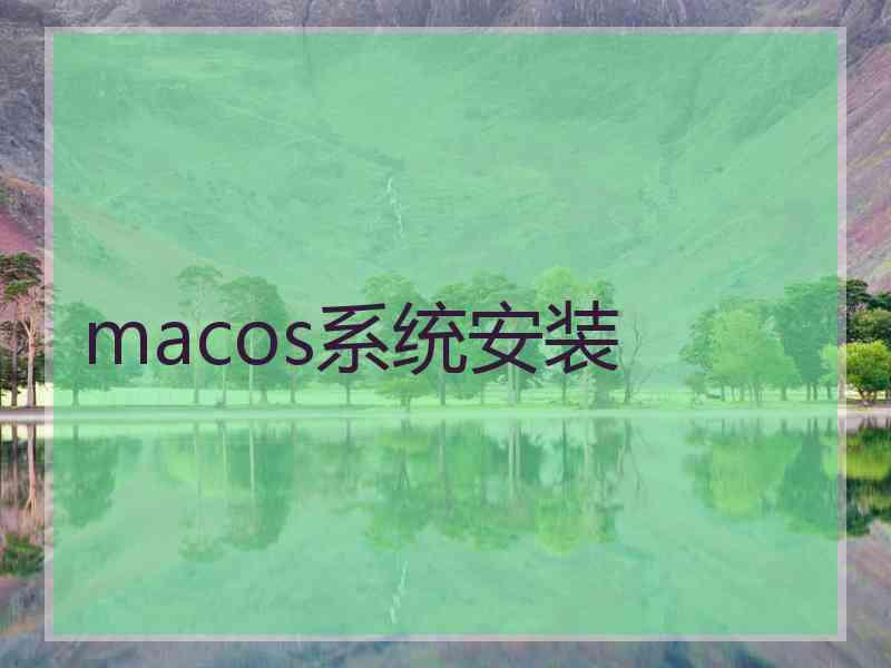 macos系统安装