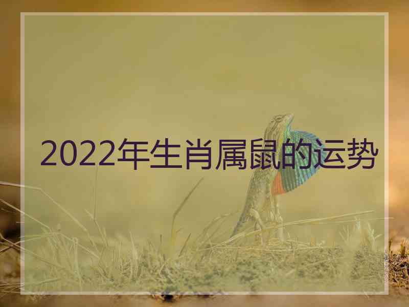 2022年生肖属鼠的运势