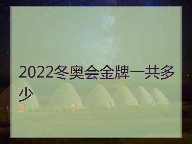 2022冬奥会金牌一共多少