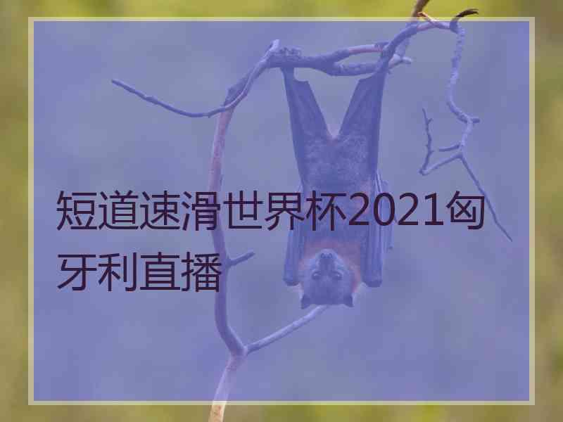 短道速滑世界杯2021匈牙利直播