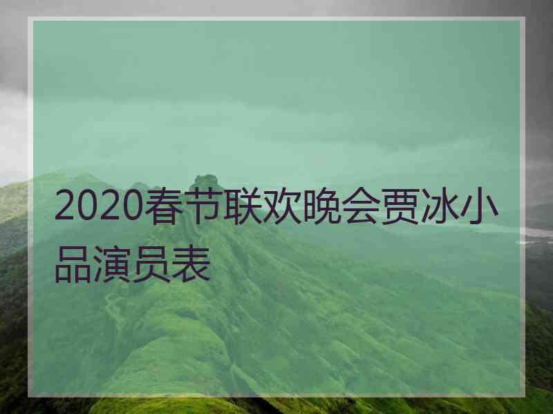 2020春节联欢晚会贾冰小品演员表