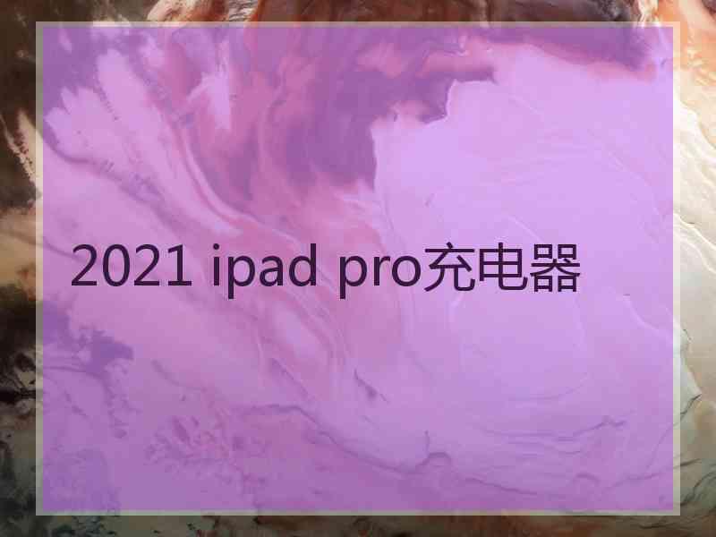 2021 ipad pro充电器