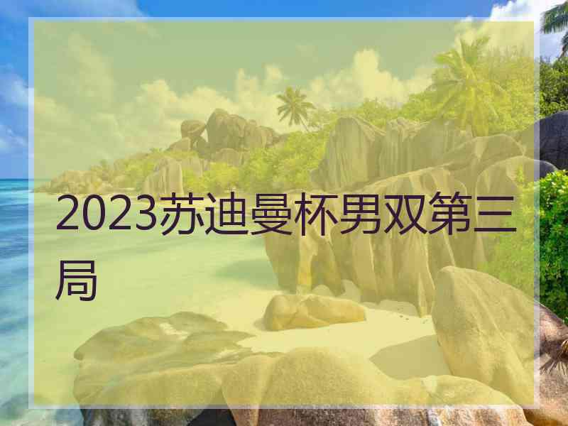 2023苏迪曼杯男双第三局