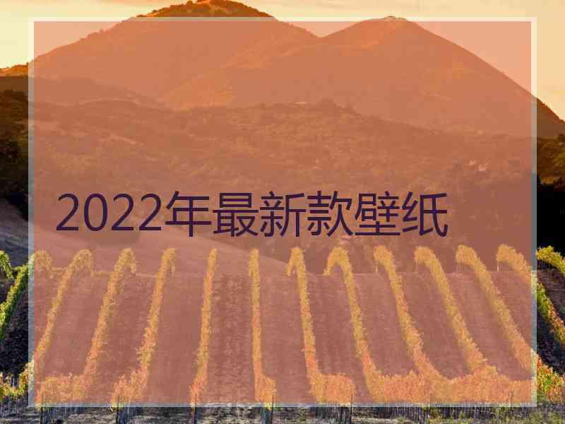 2022年最新款壁纸