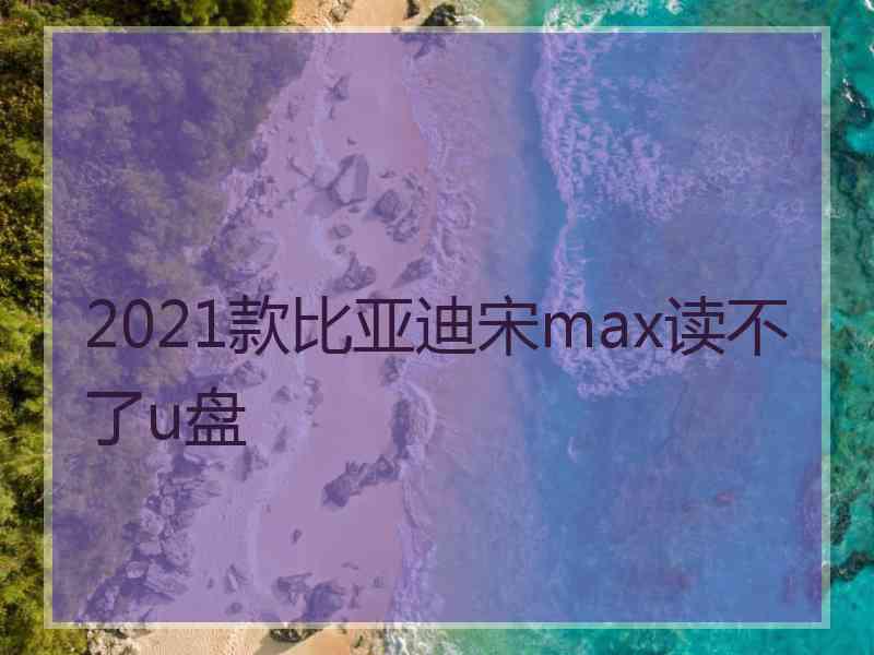 2021款比亚迪宋max读不了u盘