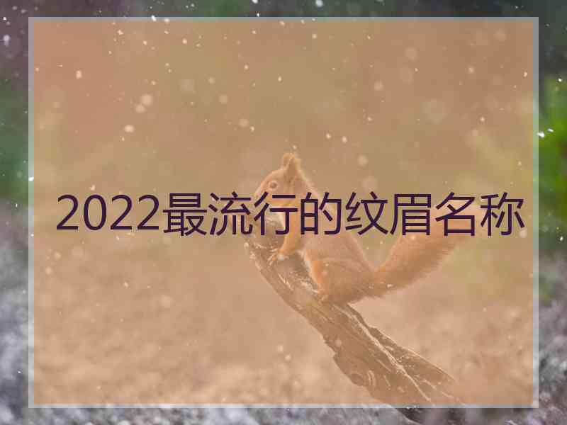 2022最流行的纹眉名称