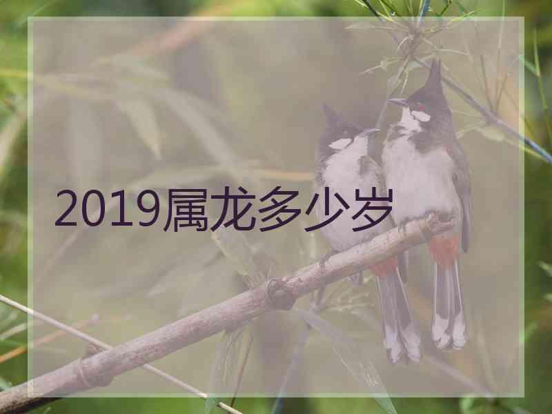 2019属龙多少岁