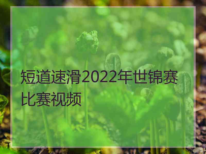 短道速滑2022年世锦赛比赛视频