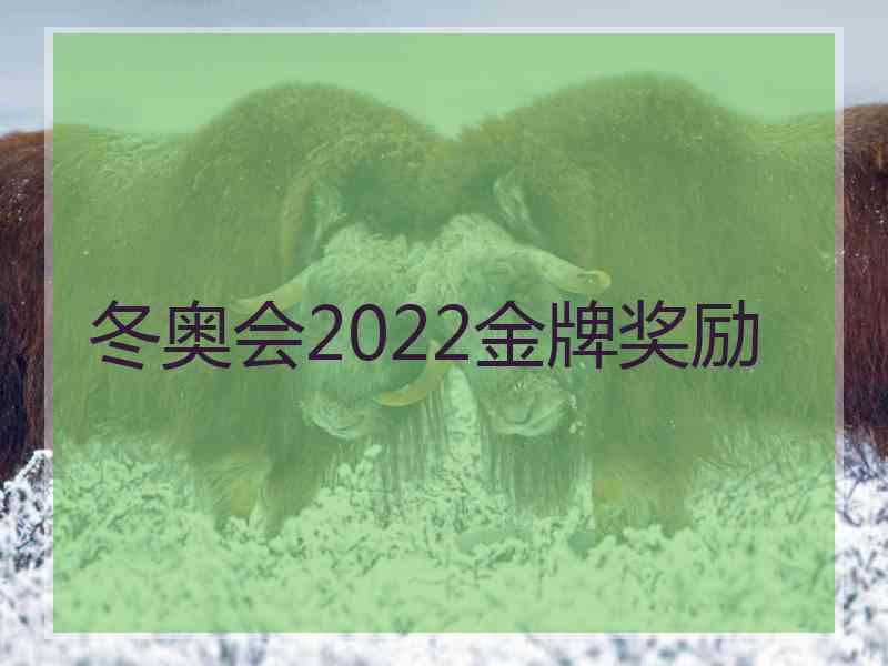 冬奥会2022金牌奖励