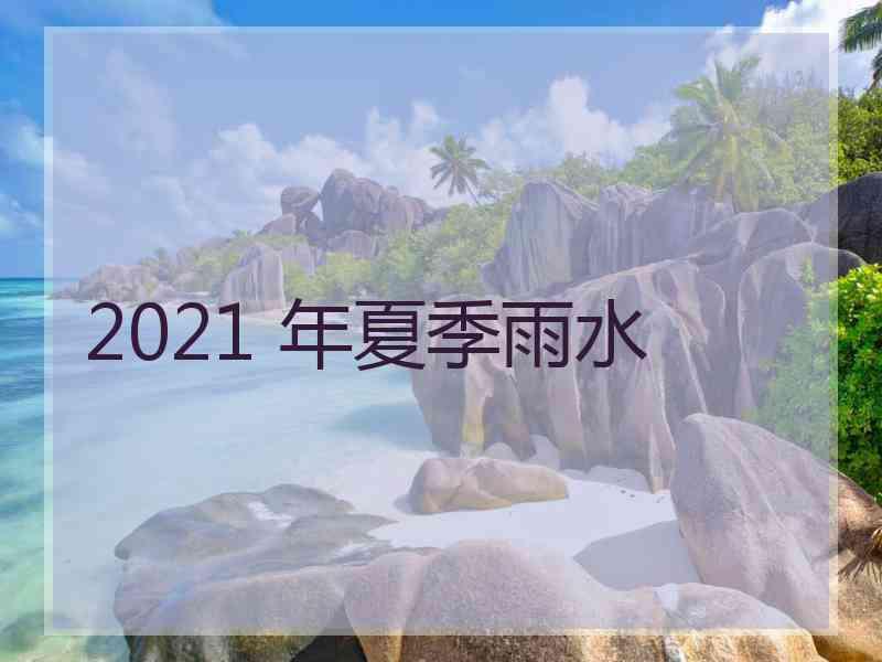 2021 年夏季雨水