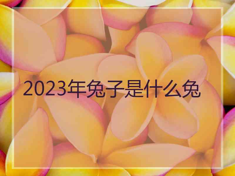 2023年兔子是什么兔