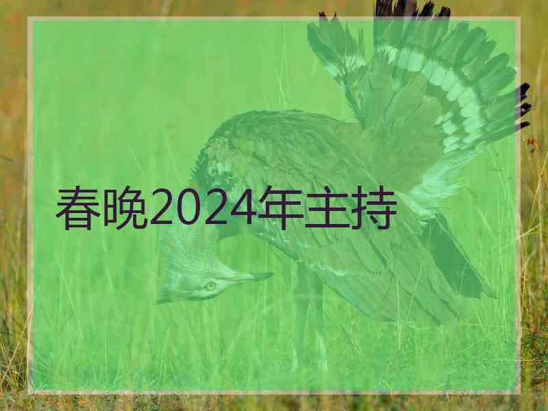 春晚2024年主持