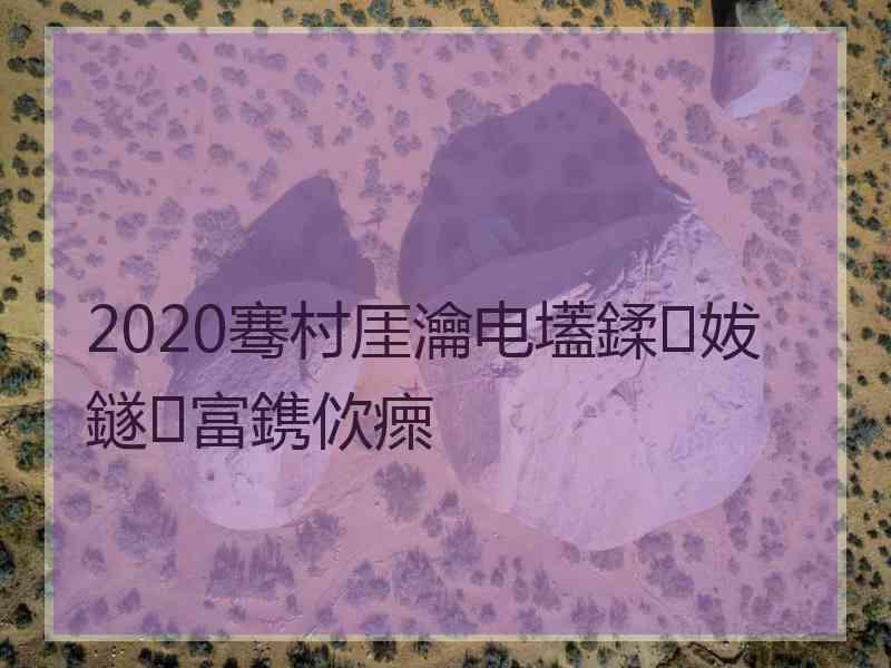 2020骞村厓瀹电壒鍒妭鐩富鎸佽瘝