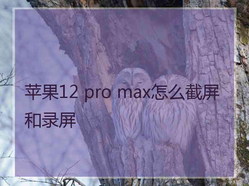 苹果12 pro max怎么截屏和录屏