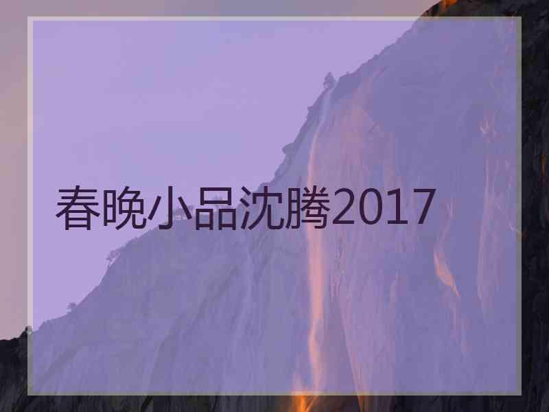 春晚小品沈腾2017