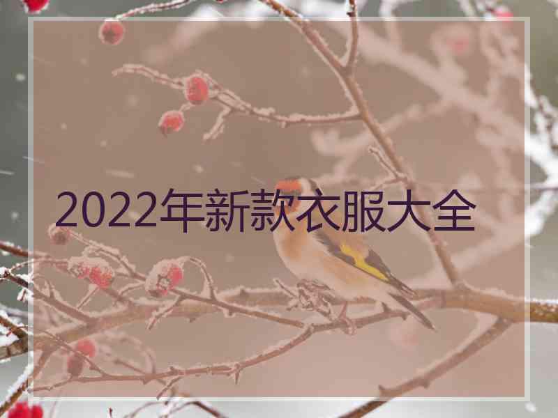 2022年新款衣服大全