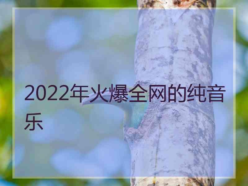 2022年火爆全网的纯音乐