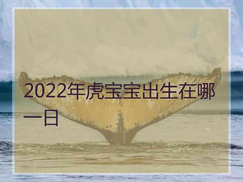 2022年虎宝宝出生在哪一日