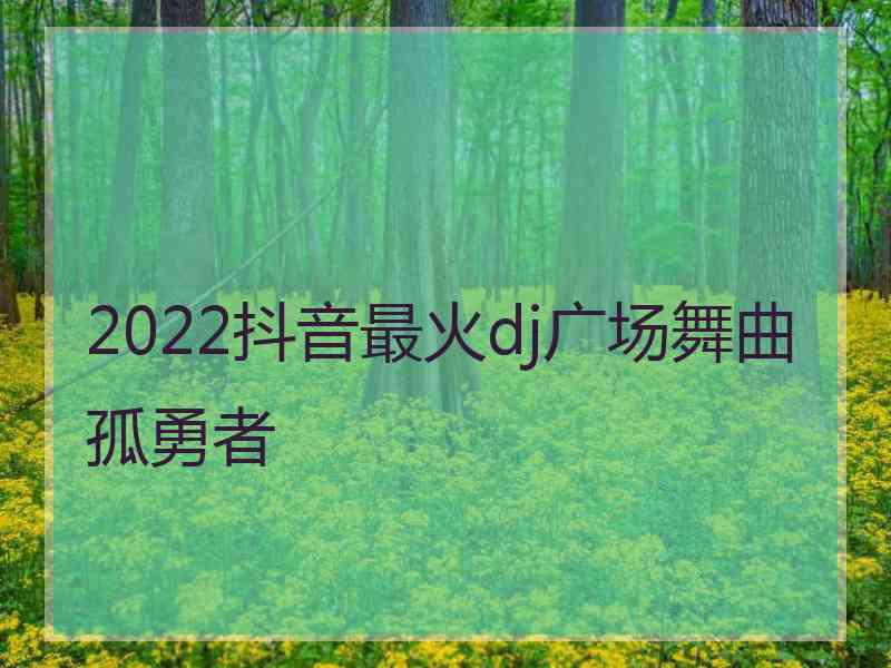 2022抖音最火dj广场舞曲孤勇者