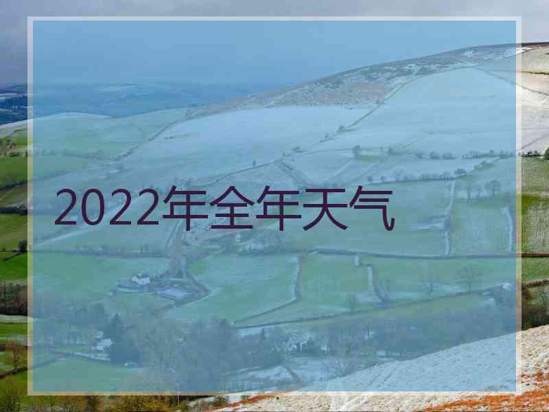 2022年全年天气