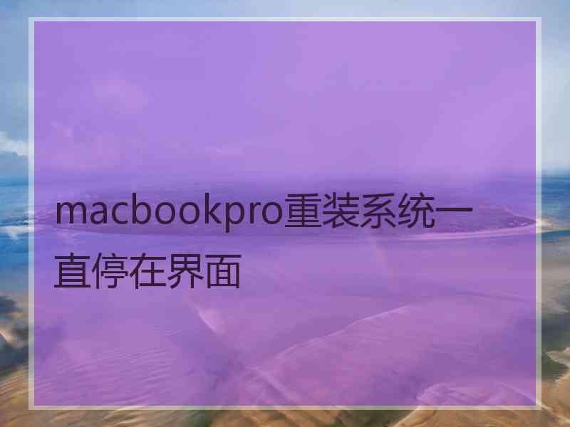 macbookpro重装系统一直停在界面