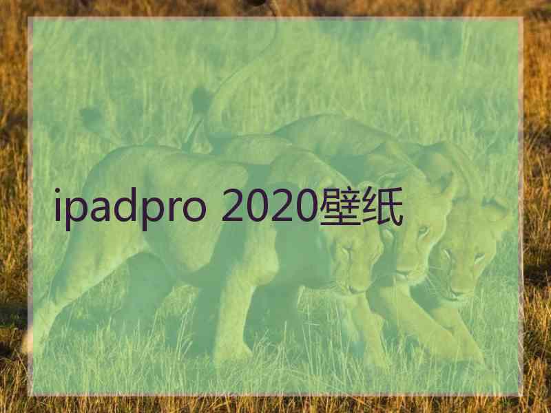 ipadpro 2020壁纸