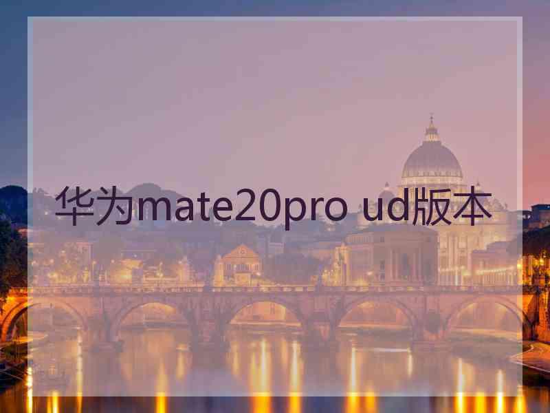 华为mate20pro ud版本