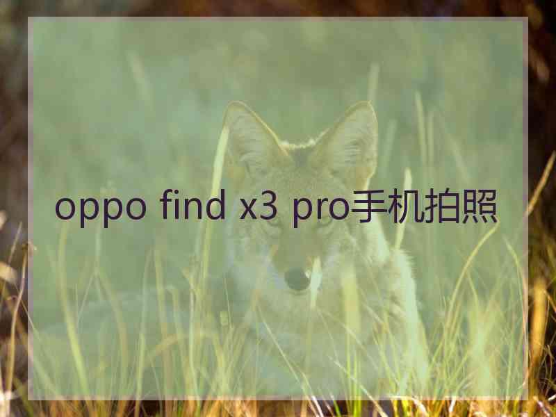 oppo find x3 pro手机拍照