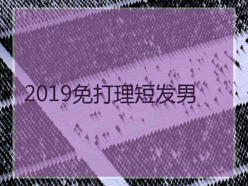 2019免打理短发男