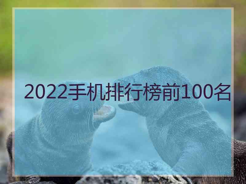 2022手机排行榜前100名