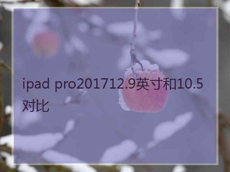 ipad pro201712.9英寸和10.5对比