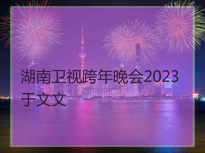 湖南卫视跨年晚会2023于文文