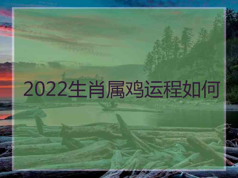 2022生肖属鸡运程如何