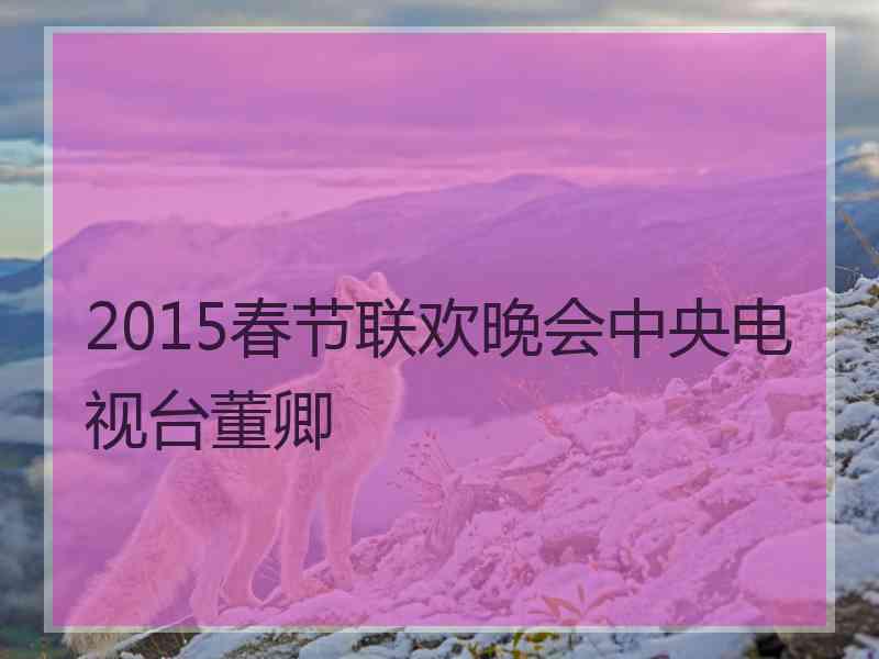 2015春节联欢晚会中央电视台董卿