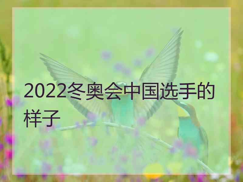 2022冬奥会中国选手的样子