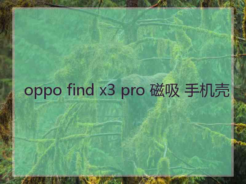 oppo find x3 pro 磁吸 手机壳