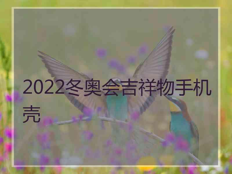 2022冬奥会吉祥物手机壳