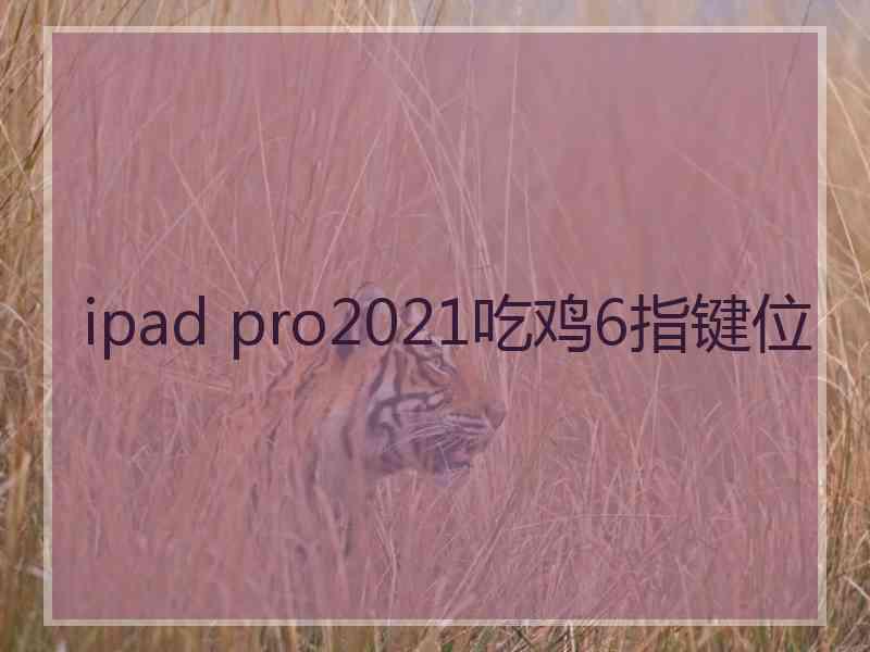 ipad pro2021吃鸡6指键位